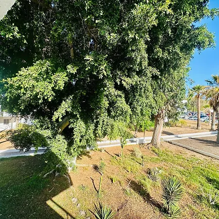 Eureka * Costa Del Silencio